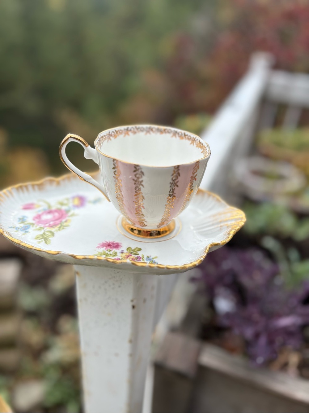 Beautiful Plate From France For Tea & Cookies